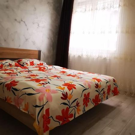 Two Bedroom Apartment Roşu Екстериор снимка